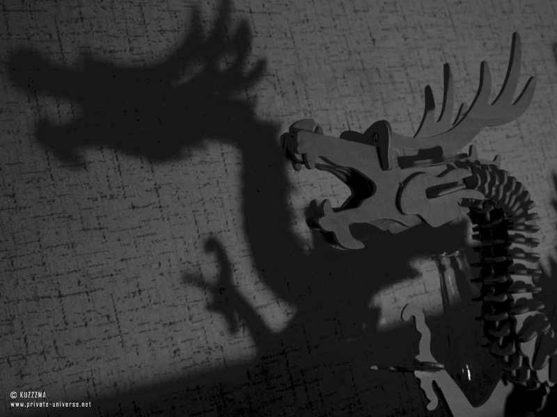 Dragon's shadow
