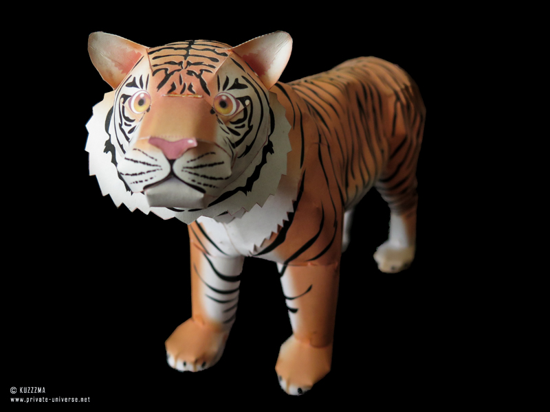 Tiger papercraft (Canon Creative Park)