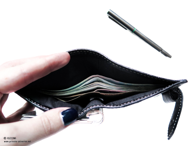 Mini Filofax Malden as wallet - cash